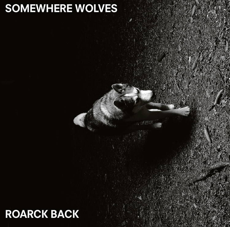 cd_somewhere.wolves