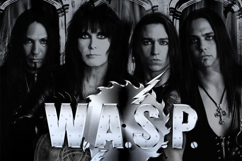 wasp-vasby