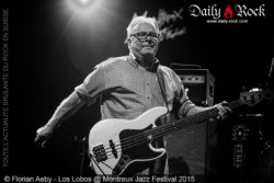 Los Lobos, Auditorium Stravinski, Montreux Jazz Festival 2015