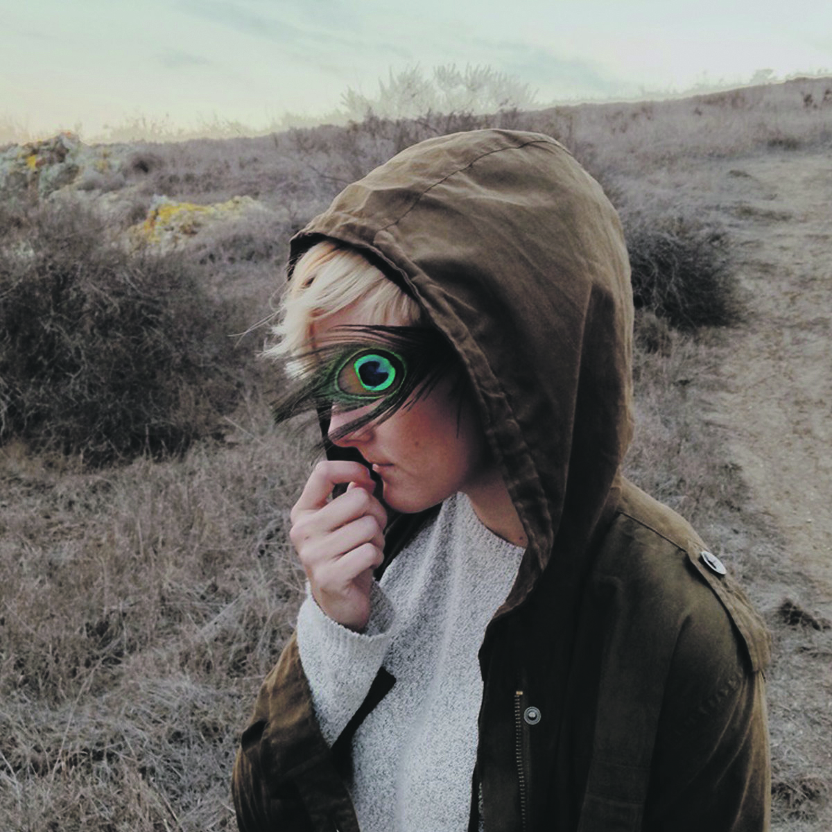 the view electrical_cover