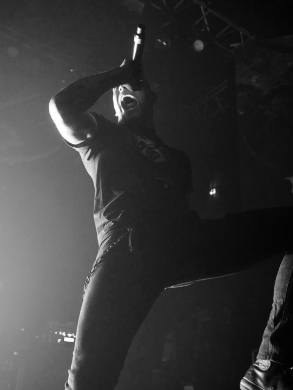 Longlive article 8 - 1 sur 10