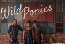 WILD PONIES – Things that used to Shine