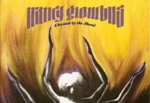 NANCY GLOWBUS – Obsessed By The Shevil