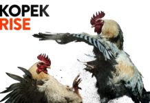 KOPEK – Rise