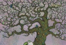 J MASCIS – Tied to a Star