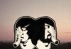 Death From Above 1979 – The Physical World