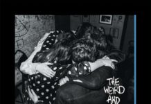 Marmozets – The Weird and Wonderful Marmozets