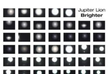Jupiter Lion – Brighter