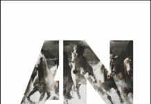 Awolnation : un deuxième album le 17 mars