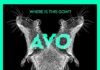 AVO – Where is it Goin’ ?