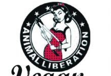 Dossier Vegan : salades & rock’n’roll