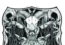 Attack Vertical – The Great Waste