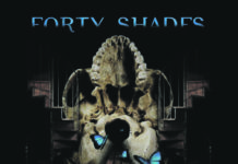 Forty Shades – Camera Silens