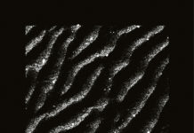 Darius – Grain