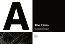 The Fawn – Branches