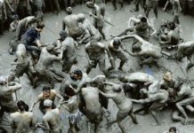 Dossier spécial été – les crasses en festival !