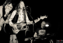 SQUIDHEAD – Prohibition