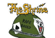The Shrine – Rare Breed