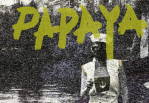 Papaya Fuzz – Get Bye Good High