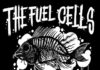 THE FUEL CELLS – Decay