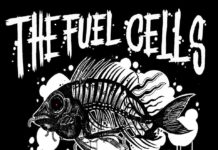 THE FUEL CELLS – Decay