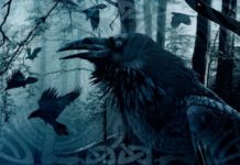 Eluveitie: ‘Evocation II’ en cours de travail !