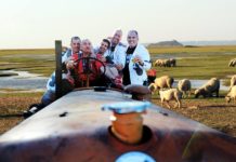 LES VACHES LAITIERES en concert le samedi 7 et le jeudi 12 octobre !