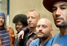 BOTTLE NEXT – Bad Horses