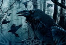Eluveitie va annoncer son nouveau line-up!