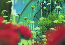 Pulled Apart By Horses – The Haze