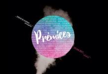 Prémices festival : zoom sur les artistes rock de la programmation