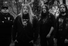 Le groupe suédois DEMONICAL accueille un nouveau chanteur