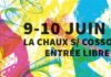 Les Pieds Plats Festival à la Chaux-sur-Cossonay, les 9 et 10 juin 2017