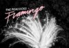 THE PEACOCKS –
Flamingo