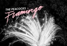 THE PEACOCKS –
Flamingo