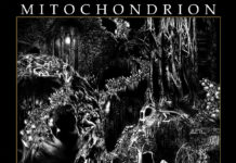 Une édition CD Digipack pour ’Antinumerology’ de MITOCHONDRION
