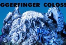 Triggerfinger – Colossus