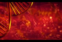 Le nouveau single de NERVECELL : D.N.A. (DIRUO NOCENS ACERVUS)