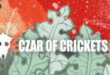 Les groupes du label suisse Czar of Crickets en concert dans tout le pays !