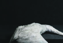 AMENRA – Mass VI