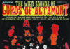 LORDS OF ALTAMONT –
The Wild Sounds of Lords Of Altamont