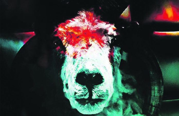cd_slipknot.OK(BD)