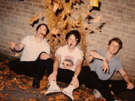 wombats
