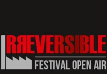 Souper de soutien de l’IRREVERSIBLE Festival le 27 janvier prochain