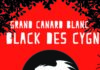 GRAND CANARD BLANC revient avec un nouvel album en avril 2018 !