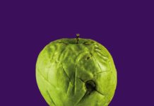 ZEAL & ARDOR présente ‘Built On Ashes’ !
