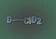 Le groupe de rock français D-CID2 vous présente leur nouvelle composition ‘Lumière’