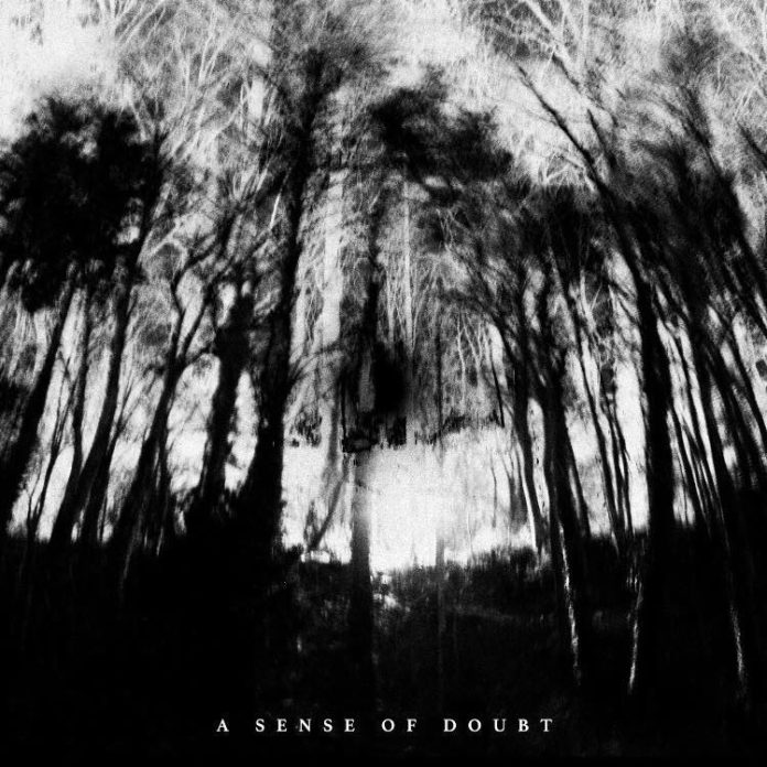 cd_back.to.the.ocean