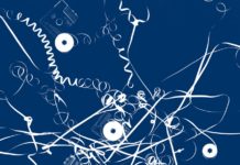 MONTREUX JAZZ FESTIVAL –
Montreux
- 29 juin au 14 juillet 2018