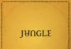 Jungle – For Ever